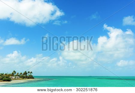 A Colorful Sea In Florida Keys, Usa