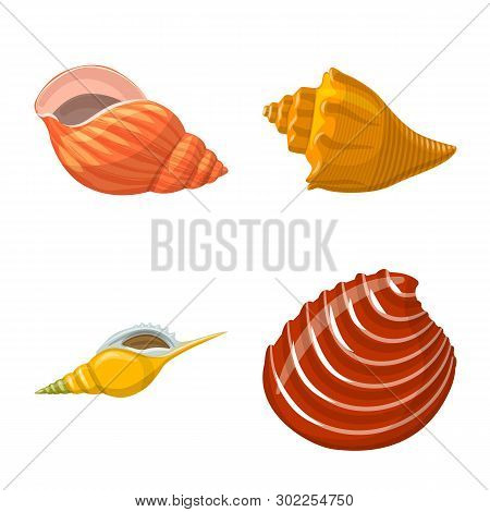Vector Design Of Seashell And Mollusk Logo. Set Of Seashell And Seafood  Stock Vector Illustration.