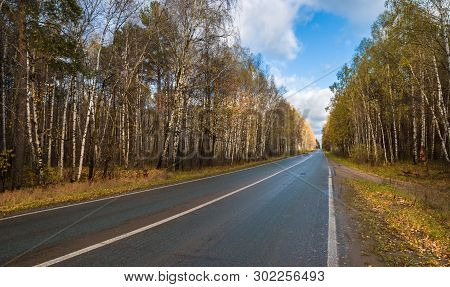 The Highway Through The Autumn Wood In Sunny Day, Mari El, Russia, 88k-002
