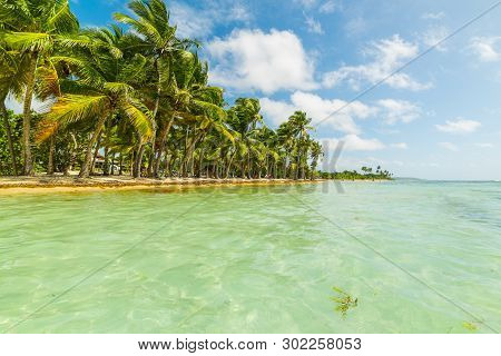 Bois Jolan Beach In Guadeloupe, French West Indies. Lesser Antilles, Caribbean Sea