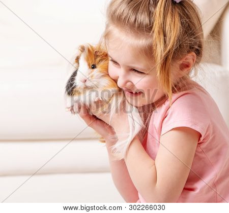 Cute little girk having a lot of fun with peruvian guinea pig