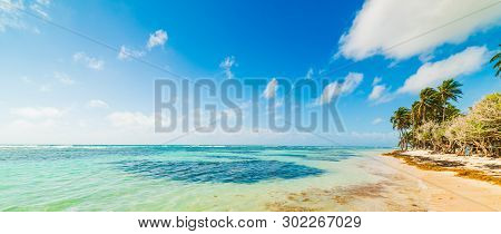Bois Jolan Beach In Guadeloupe Under Clouds, French West Indies. Lesser Antilles, Caribbean Sea