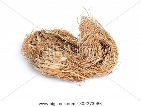 Roots Of Chrysopogon Zizanioides, Commonly Known As Vetiver. Isolated On White Background
