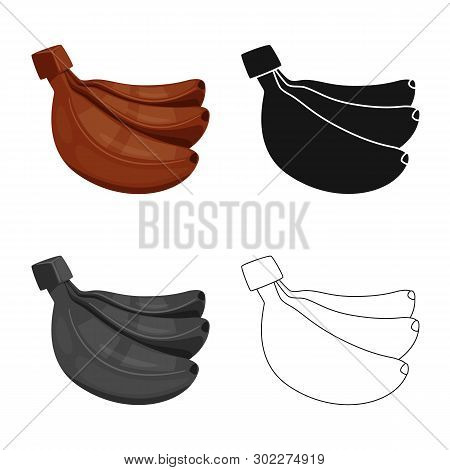 Vector Illustration Of Banana And Food Sign. Collection Of Banana And Peel Stock Vector Illustration