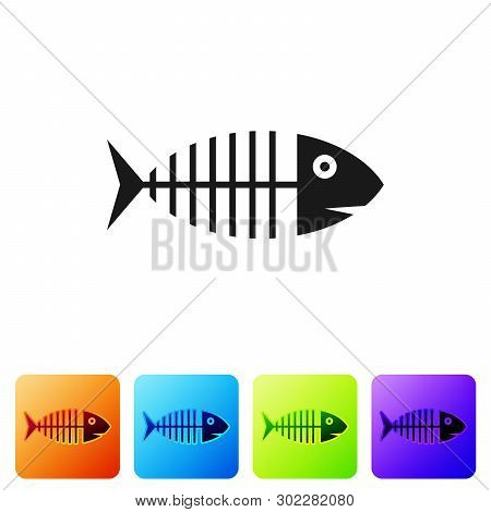Black Fish Skeleton Icon Isolated On White Background. Fish Bone Sign. Set Icon In Color Square Butt