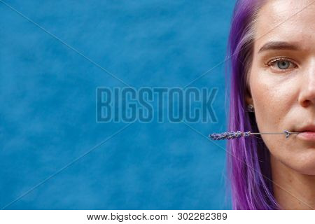 Close-up Of A Female Head, Dyed Purple Hair, Holding A Lavender Flower With Her Lips, Blue Backgroun