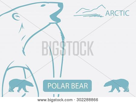 Polar Bear Background - Vector Illustration - Vector