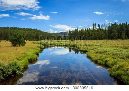 Bear Valley Creek Winding Through The Boise National Forest