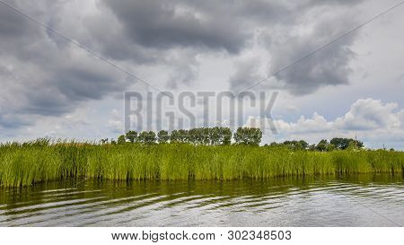 Lake Shore With Reeds And Typha Under Cloudy Summer Sky