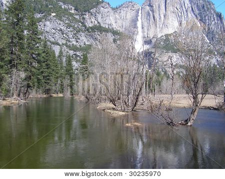 Yosemite Park