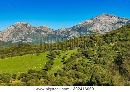 Landscape Near Ubrique, Cadiz. Spain, Andalusia In The Park Of Alcornocales
