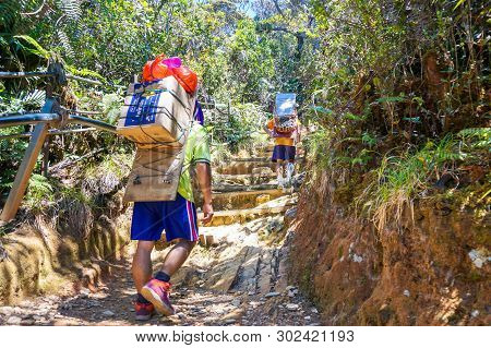 Ranau,sabah,malaysia-march 13,2016:mount Kinabalu Porters Carry Heavy Load From Timpohon Gate To The