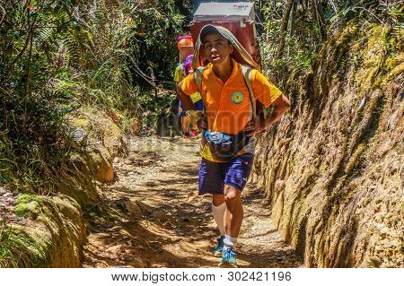 Ranau,sabah,malaysia-march 13,2016:mount Kinabalu Porters Carry Heavy Load From Timpohon Gate To The