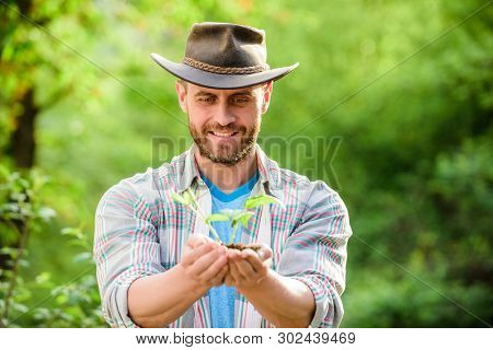 Successful Farmer Hold Plant In Ground In Hands. Farming And Agriculture Cultivation. Gardening. Eco