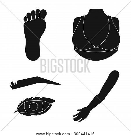 Isolated Object Of Body And Part Logo. Set Of Body And Anatomy Vector Icon For Stock.