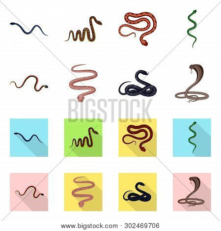 Vector Design Of Mammal And Danger Sign. Set Of Mammal And Medicine Vector Icon For Stock.