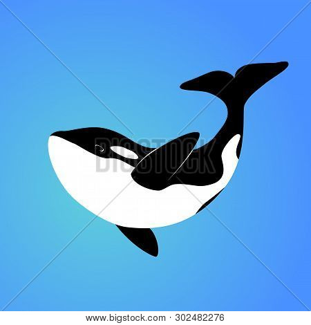 Isolated Orca Whale On Blue Background. Killer Whale. Sea Animal. Colorful Orca Whale In Blue Ocean.