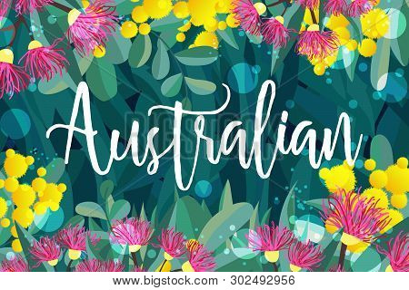 Tropical Australian Nature Background. Vector Illustration Of Eucalyptus Leaves And Flowers, Bloomin