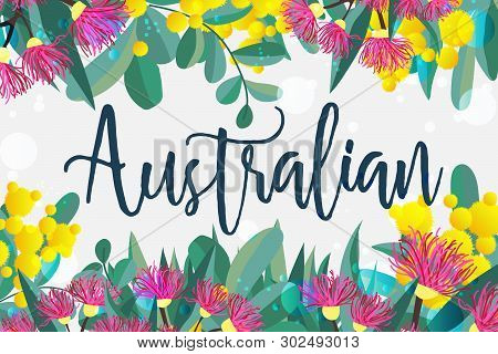 Tropical Australian Nature Background. Vector Illustration Of Eucalyptus Leaves And Flowers, Bloomin