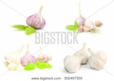 Collection Of Garlic Isolated On A White Background With Clipping Path