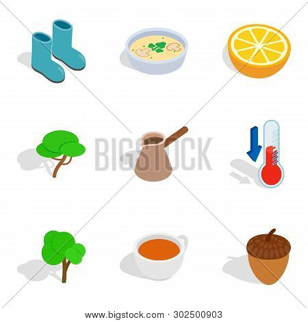 Macrobiotic Icons Set. Isometric Set Of 9 Macrobiotic Icons For Web Isolated On White Background