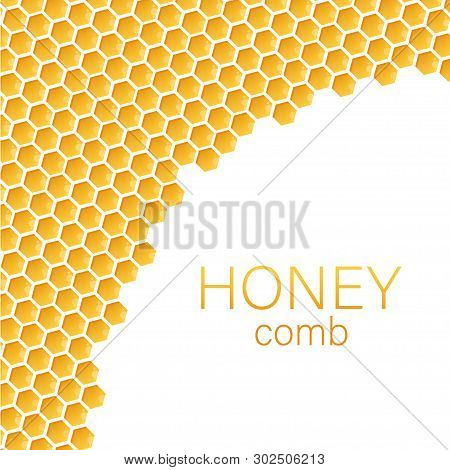 Honeycomb Monochrome Honey Pattern. Vector Stock Illustration.