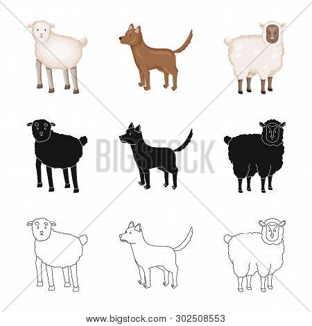 Vector Illustration Of Breeding And Kitchen  Icon. Collection Of Breeding And Organic  Vector Icon F