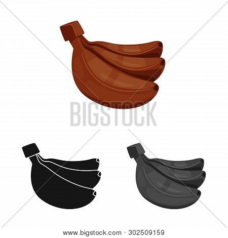 Vector Design Of Banana And Food Logo. Collection Of Banana And Peel Vector Icon For Stock.