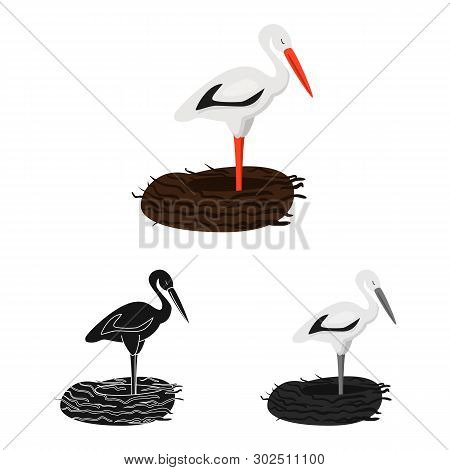 Vector Illustration Of Stork And Bird Icon. Collection Of Stork And Flying Vector Icon For Stock.