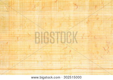 Real Egypt Papyrus Paper Background And Texture Number 23. Close Up Macro.