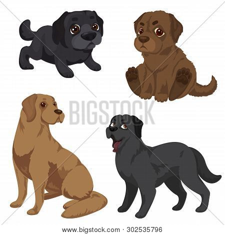Labrador Icons Set. Cartoon Set Of Labrador Vector Icons For Web Design