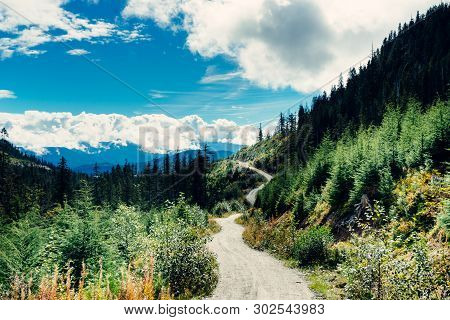 Winding Logging Road Though A Mountainous Valley