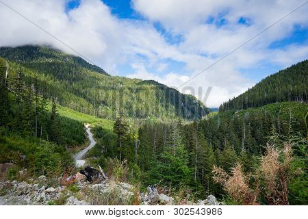 A Logging Road Winding Through A Forest Valley