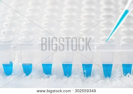 Plastic Tip Filled In With Turquoise Reaction Mixture And Disposable Plastic Wells To Amplify Dna, T