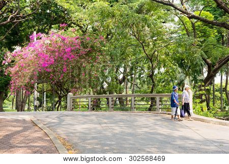 Bangkok, Thailand - March 18th 2015: Two Thai Ladies Walking Through Lumphini Park.  This Is The Lar