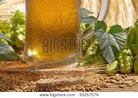 Cerveza