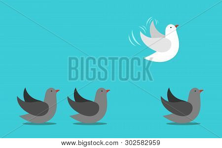 Unique Different White Bird Flying Away Into Sky From Gray Ones On Ground. Courage, Individuality, I