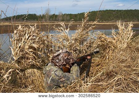 Duck Hunter Aims A Shotgun Sitting In A Blind Of Reeds On The Shore