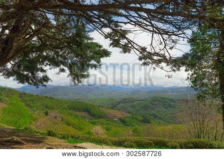 Scenic View On Mountains,green Hills And Cloudy Sky Through Trees Branches