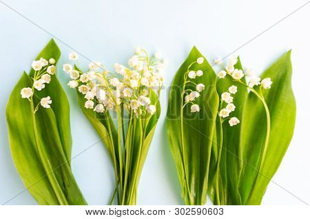 Bouquets Of Lilies Of The Valley On A Blue Background.