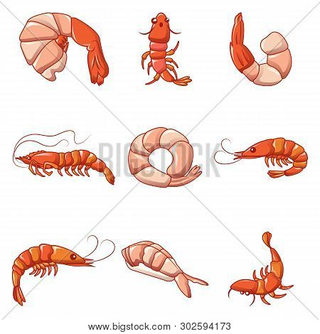 Shrimp Prawn Cooked Icons Set. Cartoon Illustration Of 9 Shrimp Prawn Cooked Icons For Web