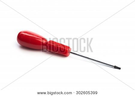 Screwdriver Type Torx Isolated On White