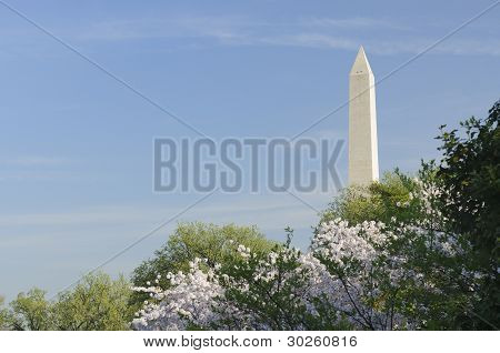 Washington Monument