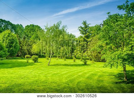 Backyard And Garden With Manu Trees And Grass On Lawn