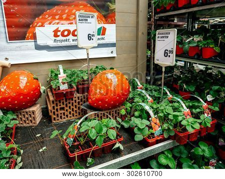 Frankfurt, Germany - Apr 13, 2019: Special Offer For Strawberries In Small Red Pots At The Toom Der 
