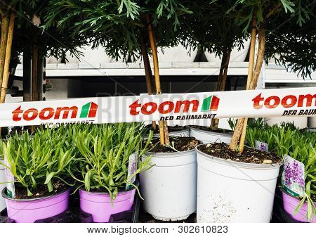 Frankfurt, Germany - Apr 13, 2019: Multiple Flowers And Small Trees In White Magenta Pots Outside To