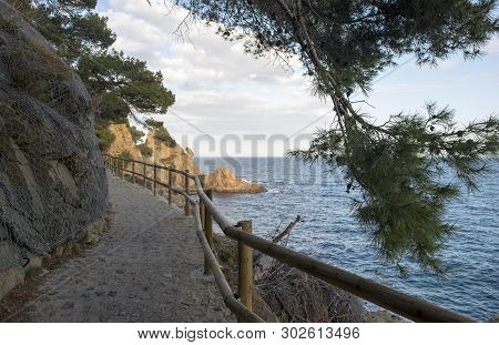 Cala De Sant Francesc In Blanes, Costa Brava