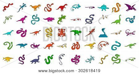 Reptile Icon Set. Color Outline Set Of Reptile Icons For Web Design Isolated On White Background