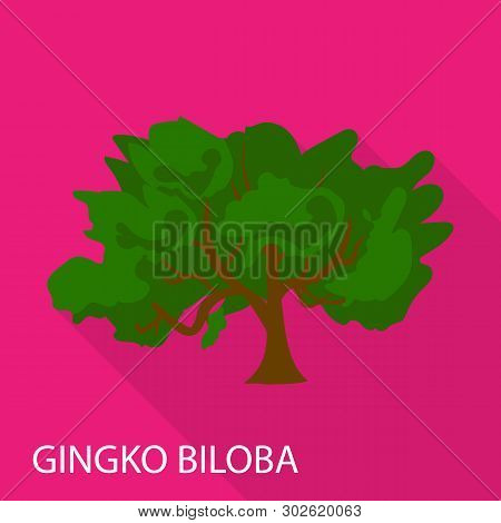 Gingko Biloba Icon. Flat Illustration Of Gingko Biloba Icon For Web