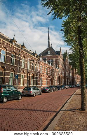 Empty Street With Semidetached Brick Houses, Shade Of Trees At Sunset And Blue Sky In S-hertogenbosc